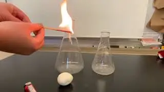 Egg in a Bottle - Combined Gas Law Demo