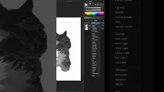 Create Stunning Double Exposure Effects | Affinity Photo Tutorial