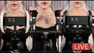 [LIVE] ASMR  - คุณชอบไมค์อันไหนมากที่สุด?