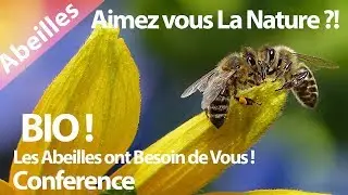 Nature.Bio.Abeilles et Miel dans les Forets.Conference.Biodiversité.Hurryken Production
