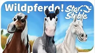 Wildpferde Challenge! 😍 [SSO]
