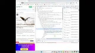 How to download a file from internet using C#.