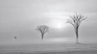Paysages d'hiver du Québec
