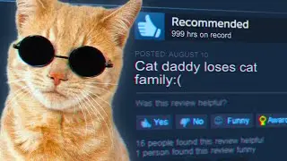 Stray Explained by a Master Idiot
