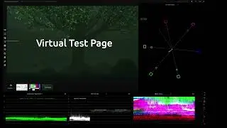NDI Scopes Overview
