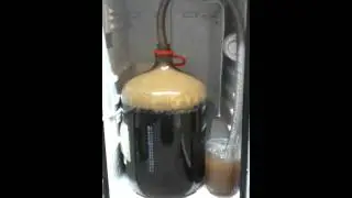 BCBS Blow Off after 12hrs