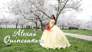 Alexa's Quinceañera Highlights