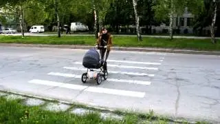 Зебра на Лахтинской