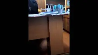 Волкова яка втікла з України