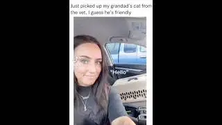Dank Memes V10