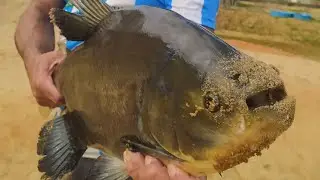 OLHA O TAMANHO DO BRUTO !