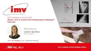 Equine Foot Radiography Webinar Part One