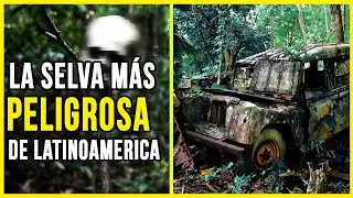 7 Dato que no sabías sobre el TAPÓN DE DARIÉN | La región más peligr0s4 de Latinoamerica