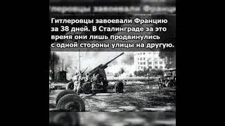 Поддержи акцию Георгиевская лента!Наши деды дали нам жизнь и мирное небо.!!!