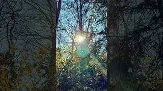 full video OUT NOW!❤️ #manifestdestiny #manifestyourdestiny #life #poetry #miracles #awakeningsoul