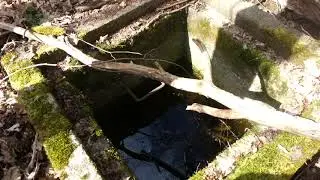 Коп в восточной пруссии