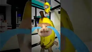 banana cat is sad😭💔 (TW)