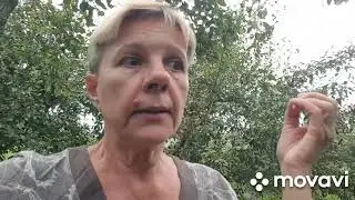 ЖИВЕМ В ДЕРЕВНЕ/ БЕЛАРУСЬ./ Не надо мне сока и варенья.