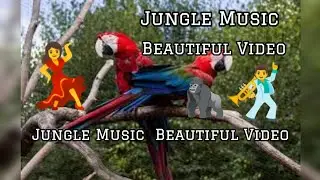 Jungle Music  Beautiful Video Sonya official video short May 4, 2025