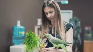 Girl holding parrot in hand