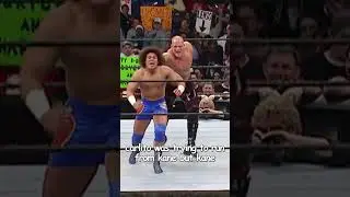 When Kane dropped this wrestler by pulling his hairs 