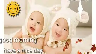 Good morning gif(1)