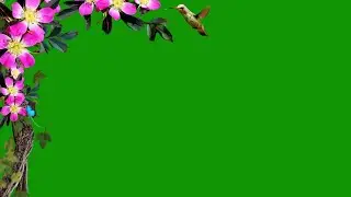 Nature Green Screen / Background Video Effects hd / Flower Green Screen / Green Screen Effects /Tree