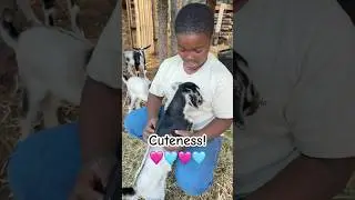 Cuteness overload!🥰 