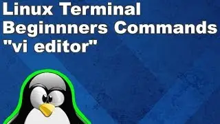 Linux Terminal for Beginners Commands 18: vi editor