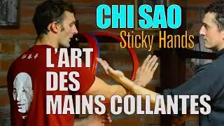 Académie de Wing Chun Kung Fu Toulouse - CHI SAO, l'authentique art des 