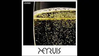 Peyruis - Lounge