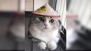 a little positive for you  part 15