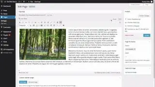 How to embed a video in WordPress.