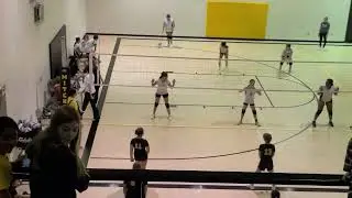 Amira vb 2