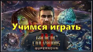 Galactic Civilizations IV Сетевая игра. Учимся играть