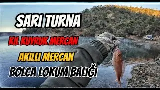 At Çek Balık Avı . Huzurun içinde Bolca Yakala Bırak Yaptık. #balık #lrf #balıkçı #atçek