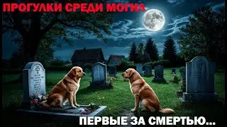 Walking Among the Graves: Bright souls are always first in line for death...