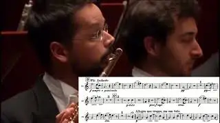 Johannes Brahms - Symphony No.1, Op.68 - solo French horn in C  #JohannesBrahms  #Symphony
