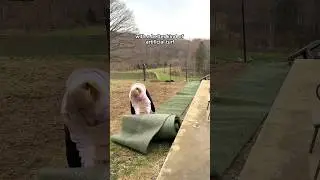 THE BEST ARTIFICIAL TURF FOR YOUR MUDDY YARD 🌱💚🐾 link in bio!