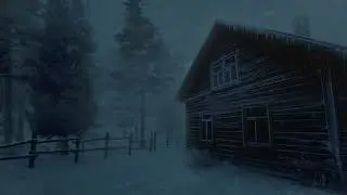 Snow Storm Sleep Sounds & Wind Sounds for Sleeping┇Blizzard Ambience┇White Noise ASMR for Deep Sleep