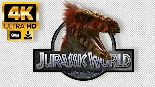 Dinosaur Head Green Screen  - Footage 4K