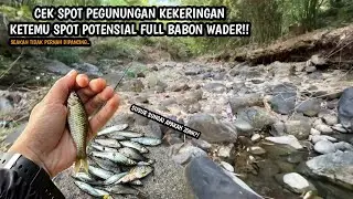 KESASAR DISUNGAI KERING BEBATUAN PEGUNUNGAN!! Mancing wader teknik kumbul umpan pelet dan cacing