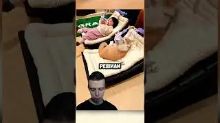 Какие же милашки🤗 #shorts #прикол #мем #любовь
