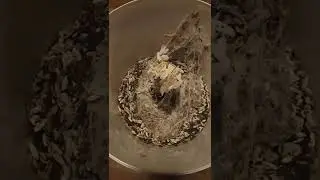 пжЛвм