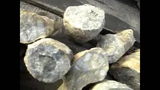 Вот это поворот !  Кораллы  в степях Казахстана !  Видно с подводной лодки вывалились.  Мульон лет !