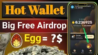 Hot Wallet Big Free Airdrop|| How to Collect Free Egg || Hot wallet Egg Update|| Hot wallet