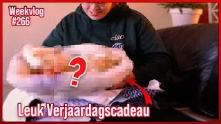 Leuk verjaardagscadeau gekregen 🎁😃😍 Weekvlog266 - Ondertiteld
