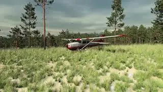 Tellusim Forest Scene