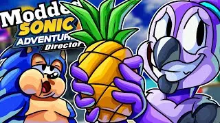 Sonic Adventure DX - How My Friends Ruined The Game With Mods...