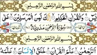 surah yacen||Quran recitation||daily yaseen#17||Surah Yasin+Surah Rehman